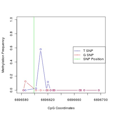 Allele Specific Methylation Frequency Diagram for chr20 6696599 SNP.