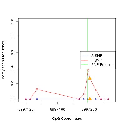 Allele Specific Methylation Frequency Diagram for chr20 8997198 SNP.