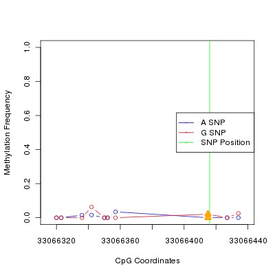 Allele Specific Methylation Frequency Diagram for chr21 33066416 SNP.