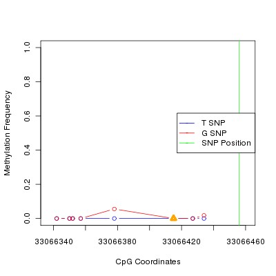 Allele Specific Methylation Frequency Diagram for chr21 33066456 SNP.