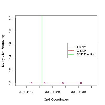 Allele Specific Methylation Frequency Diagram for chr21 33524116 SNP.