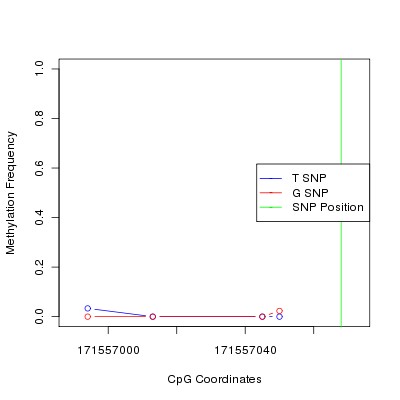 Allele Specific Methylation Frequency Diagram for chr3 171557068 SNP.