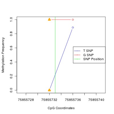 Allele Specific Methylation Frequency Diagram for chr3 75855733 SNP.