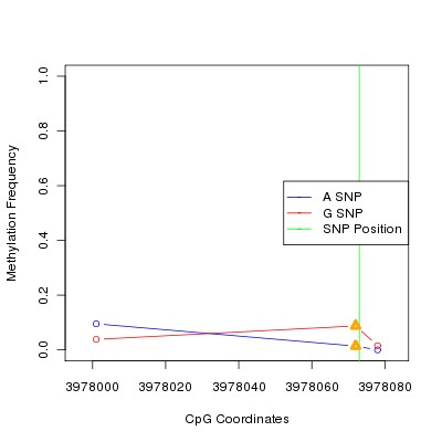 Allele Specific Methylation Frequency Diagram for chr4 3978073 SNP.