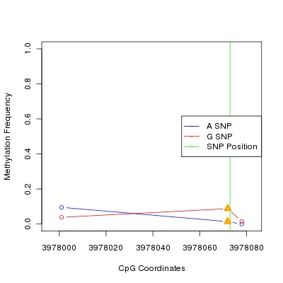 Allele Specific Methylation Frequency Diagram for chr4 3978073 SNP.