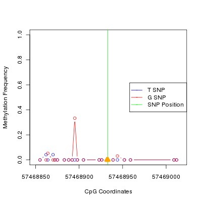 Allele Specific Methylation Frequency Diagram for chr4 57468933 SNP.