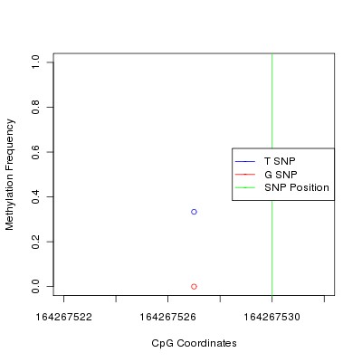 Allele Specific Methylation Frequency Diagram for chr5 164267530 SNP.