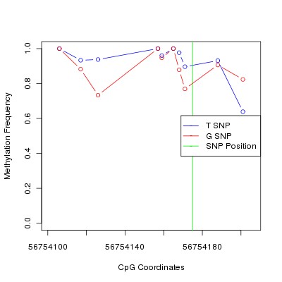 Allele Specific Methylation Frequency Diagram for chr5 56754175 SNP.