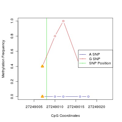 Allele Specific Methylation Frequency Diagram for chr7 27249008 SNP.