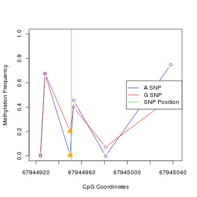 Allele Specific Methylation Frequency Diagram for chr9 67944951 SNP.