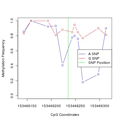 Allele Specific Methylation Frequency Diagram for chrX 153466235 SNP.