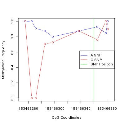 Allele Specific Methylation Frequency Diagram for chrX 153466360 SNP.