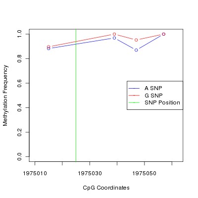 Allele Specific Methylation Frequency Diagram for chr11 1975025 SNP.