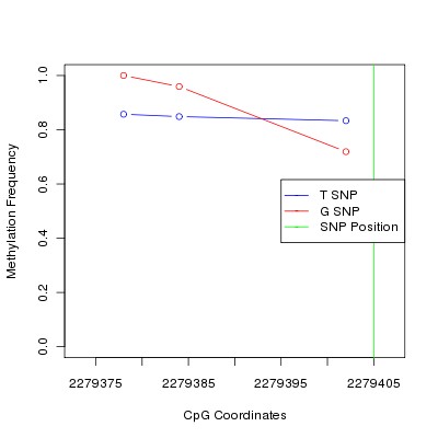 Allele Specific Methylation Frequency Diagram for chr11 2279405 SNP.