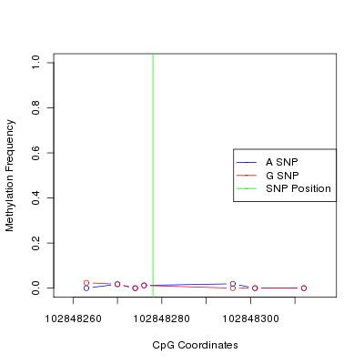 Allele Specific Methylation Frequency Diagram for chr12 102848278 SNP.