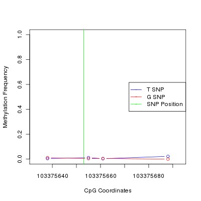 Allele Specific Methylation Frequency Diagram for chr12 103375653 SNP.