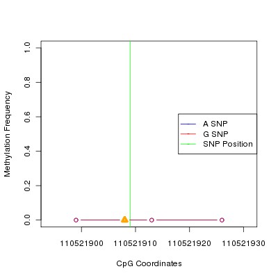 Allele Specific Methylation Frequency Diagram for chr12 110521909 SNP.
