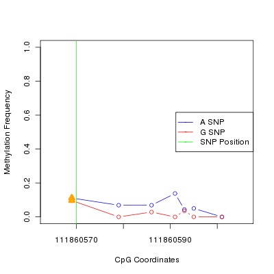 Allele Specific Methylation Frequency Diagram for chr12 111860570 SNP.