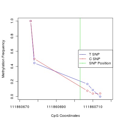 Allele Specific Methylation Frequency Diagram for chr12 111860703 SNP.