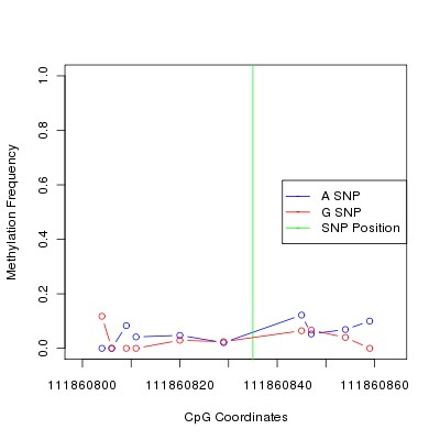 Allele Specific Methylation Frequency Diagram for chr12 111860835 SNP.