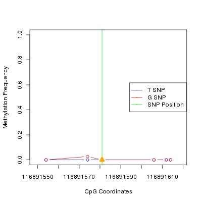 Allele Specific Methylation Frequency Diagram for chr12 116891581 SNP.