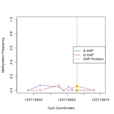 Allele Specific Methylation Frequency Diagram for chr12 120715956 SNP.