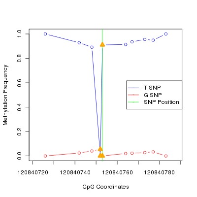 Allele Specific Methylation Frequency Diagram for chr12 120840753 SNP.