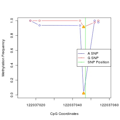 Allele Specific Methylation Frequency Diagram for chr12 122037047 SNP.