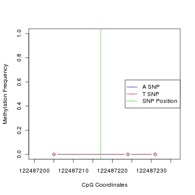 Allele Specific Methylation Frequency Diagram for chr12 122487217 SNP.