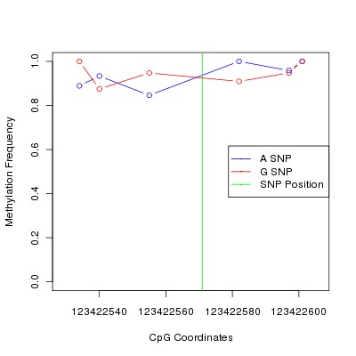 Allele Specific Methylation Frequency Diagram for chr12 123422571 SNP.