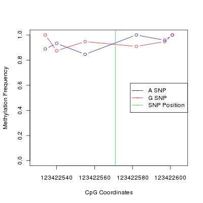 Allele Specific Methylation Frequency Diagram for chr12 123422571 SNP.