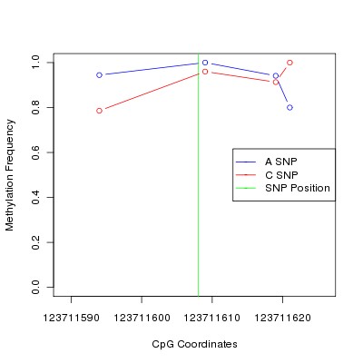 Allele Specific Methylation Frequency Diagram for chr12 123711608 SNP.