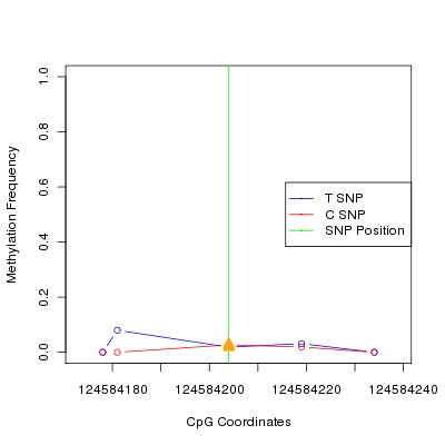 Allele Specific Methylation Frequency Diagram for chr12 124584204 SNP.