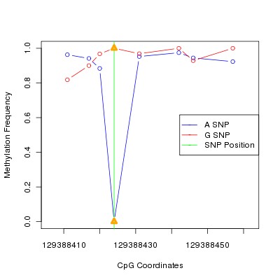 Allele Specific Methylation Frequency Diagram for chr12 129388424 SNP.