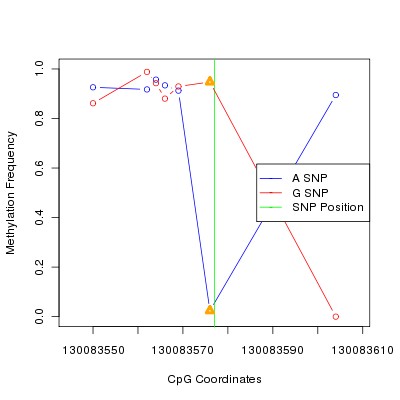 Allele Specific Methylation Frequency Diagram for chr12 130083577 SNP.