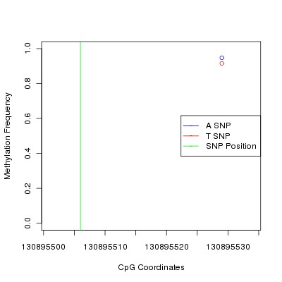 Allele Specific Methylation Frequency Diagram for chr12 130895506 SNP.