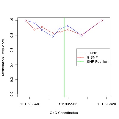 Allele Specific Methylation Frequency Diagram for chr12 131395576 SNP.