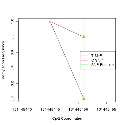 Allele Specific Methylation Frequency Diagram for chr12 131445451 SNP.