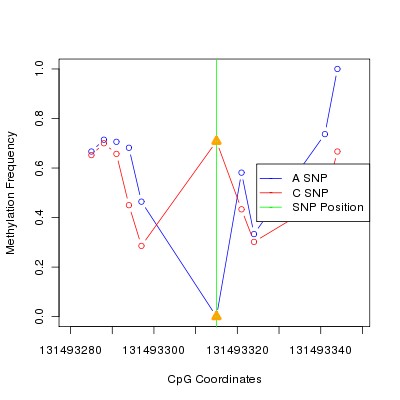 Allele Specific Methylation Frequency Diagram for chr12 131493315 SNP.