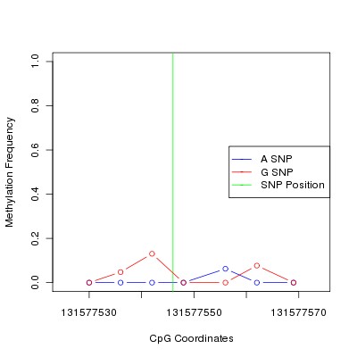 Allele Specific Methylation Frequency Diagram for chr12 131577546 SNP.