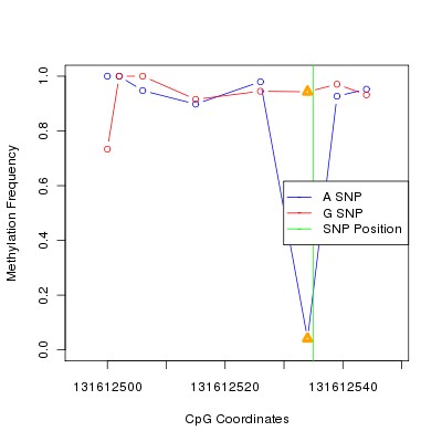 Allele Specific Methylation Frequency Diagram for chr12 131612535 SNP.