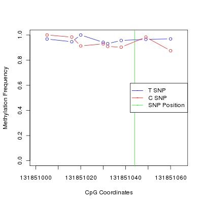 Allele Specific Methylation Frequency Diagram for chr12 131851044 SNP.