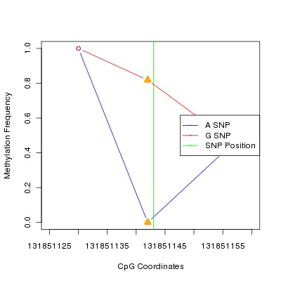 Allele Specific Methylation Frequency Diagram for chr12 131851143 SNP.