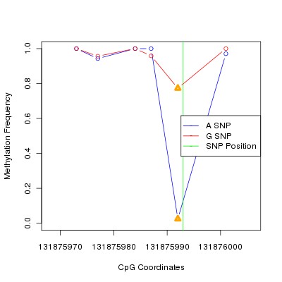 Allele Specific Methylation Frequency Diagram for chr12 131875993 SNP.