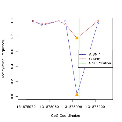 Allele Specific Methylation Frequency Diagram for chr12 131875993 SNP.