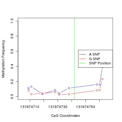 Allele Specific Methylation Frequency Diagram for chr12 131974742 SNP.