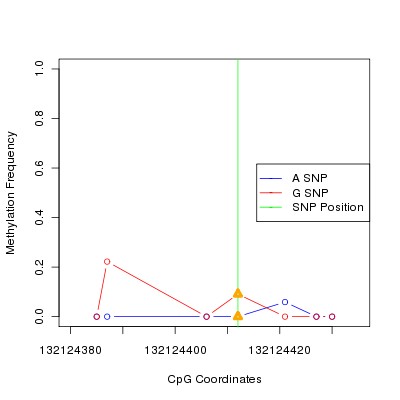 Allele Specific Methylation Frequency Diagram for chr12 132124412 SNP.