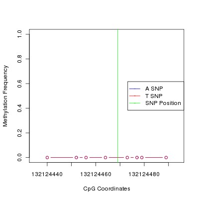 Allele Specific Methylation Frequency Diagram for chr12 132124469 SNP.