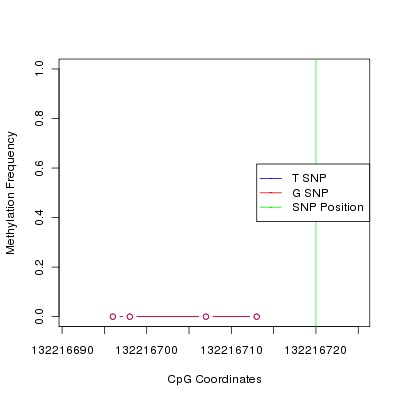 Allele Specific Methylation Frequency Diagram for chr12 132216720 SNP.