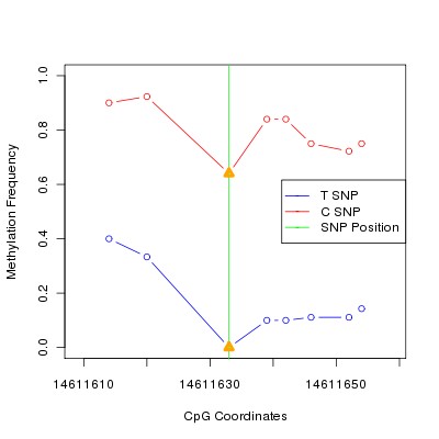 Allele Specific Methylation Frequency Diagram for chr12 14611633 SNP.